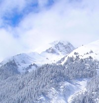 Alps